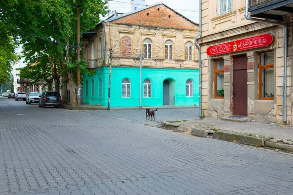 Kleurrijke Huizen Straat Kutaisi Hoge Kwaliteit Foto — Stockfoto
