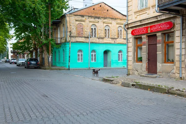 Casas Coloridas Nas Ruas Kutaisi Foto Alta Qualidade — Fotografia de Stock