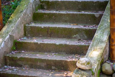 Batum 'daki botanik bahçesinde beton merdiven.