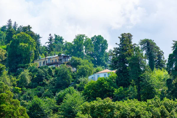 Graziose case nel giardino botanico di Batumi — Foto Stock