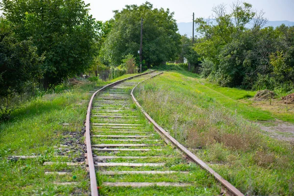 Ferrovia abandonada na grama coberto — Fotografia de Stock