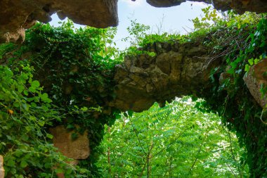 Üzerinde çeşitli otlar olan bir kemer. Yüksek kalite fotoğraf