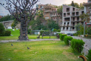 Metal meşe ağacıyla Rike Park manzarası. Yüksek kalite fotoğraf