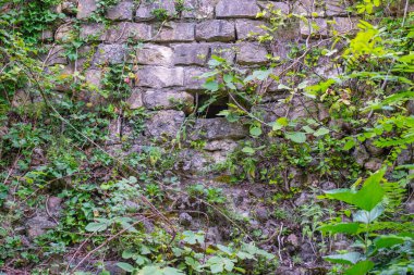 Yeşillikte eski taş duvarlar var. Yüksek kalite fotoğraf