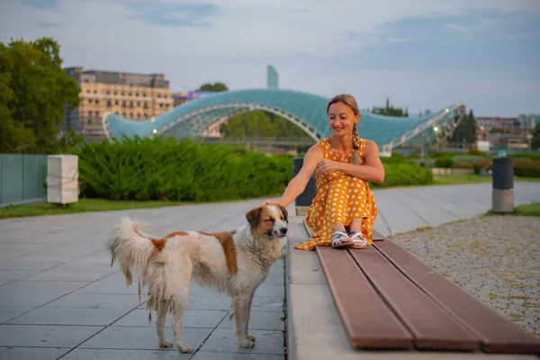 Rike Park Zit Een Meisje Een Bankje Met Een Hond — Stockfoto