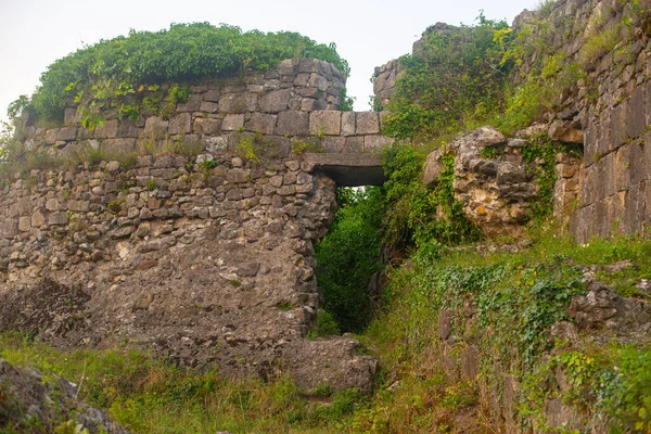 Geruïneerde Stenen Muur Met Groene Planten Hoge Kwaliteit Foto — Stockfoto