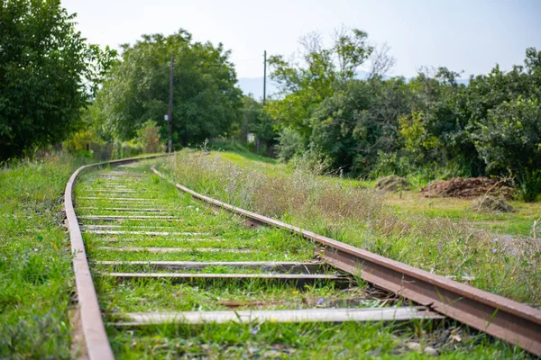 Um caminho de ferro completamente abandonado coberto na grama — Fotografia de Stock