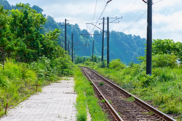 A Grúziában a távolba tartó vasút — Stock Fotó