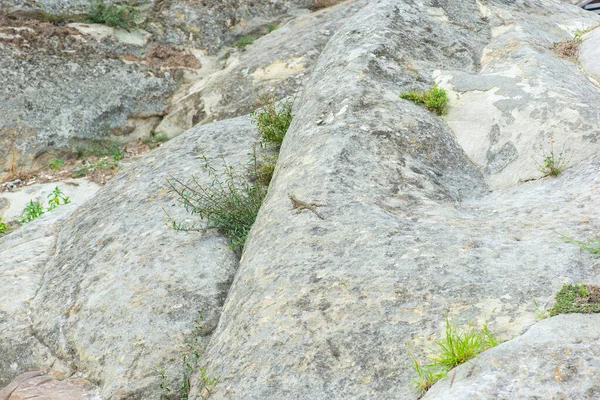 Gray stones in the city of Uplistsikhe in Georgia — Stockfoto