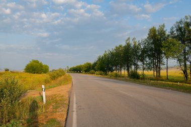 a two-lane dirt road goes through the fields