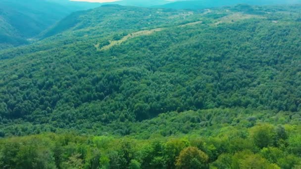 ड्रोन पहाड़ों और हरे जंगलों पर उड़ान भरता है — स्टॉक वीडियो