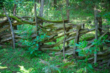 Gürcistan 'da ince dallardan yapılmış kırsal çitler.