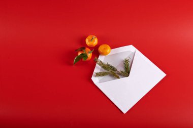 Kırmızı arkaplanda beyaz bir zarf içinde mandalinalar.