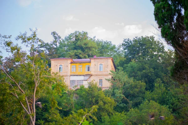 La casa está en una colina cubierta de vegetación — Foto de Stock
