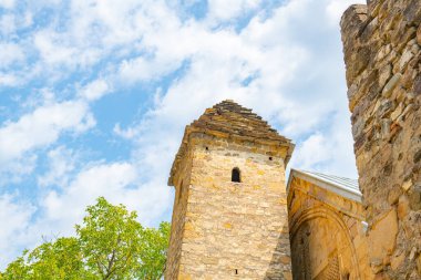 Tapınağın dış duvarlarında asma ve haç şeklinde süslemeler.