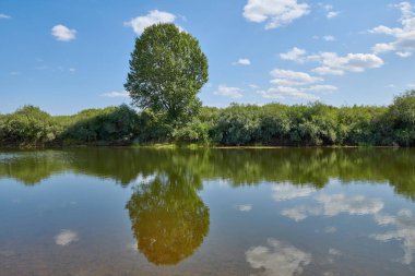Mavi gökyüzünde ve ormanda büyük bulutlar