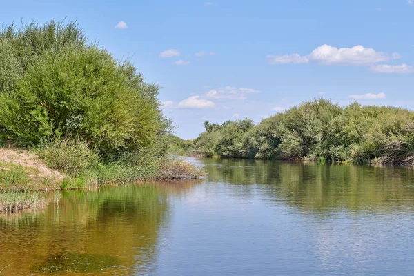 Lago transparente es muy hermoso y bosque —  Fotos de Stock