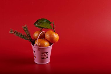 Kırmızı arka planda mandalinalı kova
