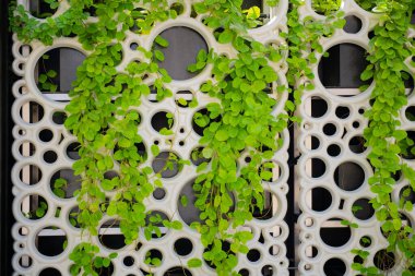 Bitkilerle farklı daireler dokuma duvarları var.