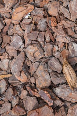 Ahşap parçalarının dokusu çok güzel.