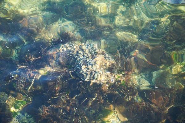 Bela abstração verde e azul na água — Fotografia de Stock
