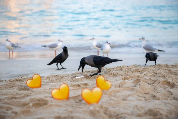 Un uccello che tiene un cuore giallo nel becco sulla spiaggia — Foto Stock