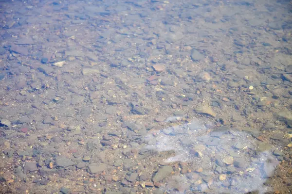 A água do lago é muito clara e limpa. — Fotografia de Stock