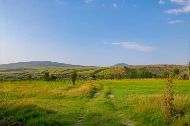Gürcistan 'da yemyeşil ormanları olan eşsiz kolhis ormanları.