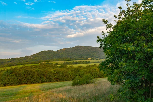 Gürcistan 'da yazın pitoresk tarlalar ve dağlar