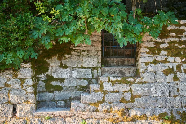 A parede da casa é de pedra e as plantas são tecidas — Fotografia de Stock