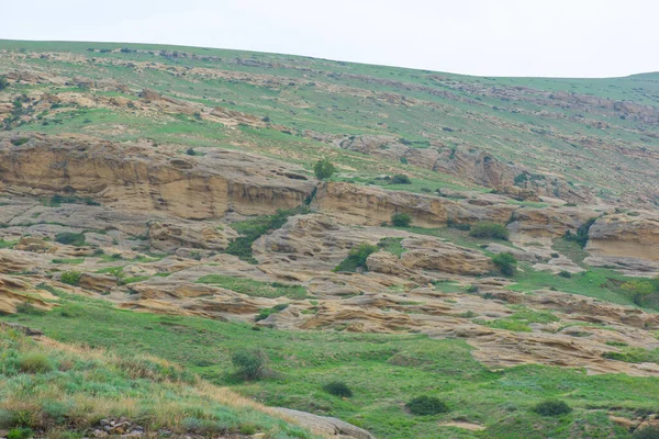 Belles montagnes en géorgie et verdure en été — Photo