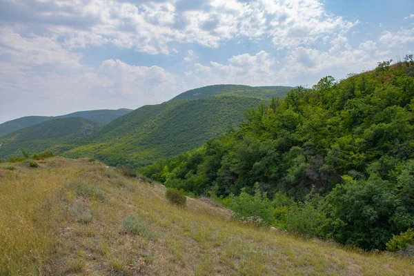 Gürcistan 'da yazın pitoresk tarlalar ve dağlar — Stok fotoğraf