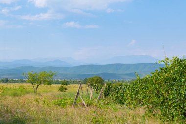 Gürcistan 'da yazın pitoresk tarlalar ve dağlar