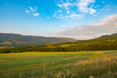 Gürcistan 'da yazın geniş yeşil tarlalar ve dağlar