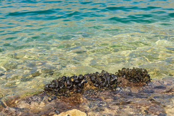 Les pierres se trouvent dans la mer en été — Photo
