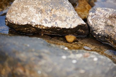 Taşlar her yönden deniz tarafından yıkanır.