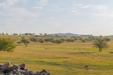 Gürcistan 'da yazın pitoresk tarlalar ve dağlar