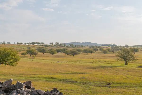 Gürcistan 'da yazın pitoresk tarlalar ve dağlar