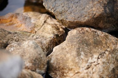 Taşlar yazın denizde yatıyor.