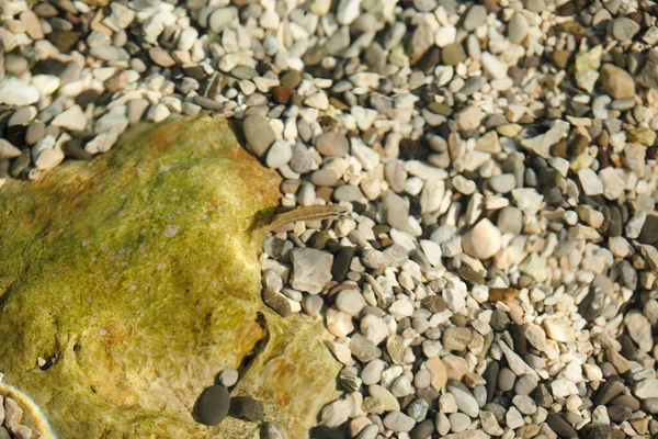 Pierres de différentes tailles se trouvent dans la mer — Photo