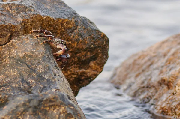 D'énormes pierres se trouvent dans l'eau dans la mer — Photo