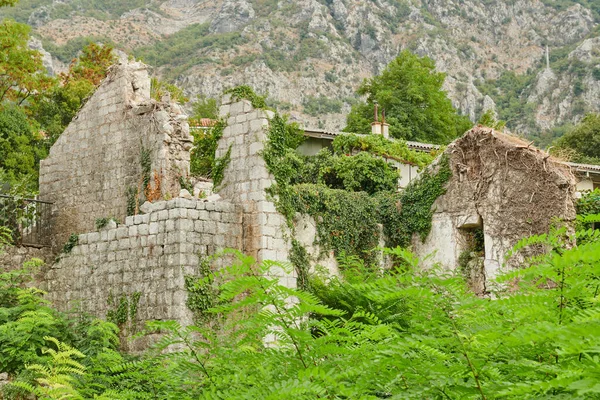 A very old fortress in montenegro in summer — Stock Photo, Image