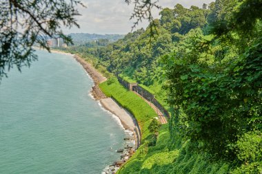 Batumi botanik bahçesi çok resim gibi. Yüksek kalite fotoğraf