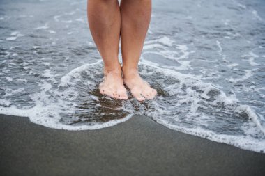 Sahildeki suda iki ayaklı. Yüksek kalite fotoğraf