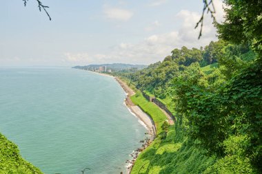 Batumi 'deki botanik bahçesi çok güzel. Yüksek kalite fotoğraf