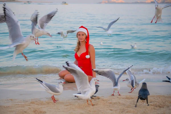 Madarak Parton Egy Lány Piros Bikiniben Kiváló Minőségű Fénykép — Stock Fotó