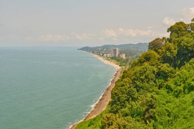 Batumi 'deki botanik bahçesinden muhteşem deniz manzarası. Yüksek kalite fotoğraf