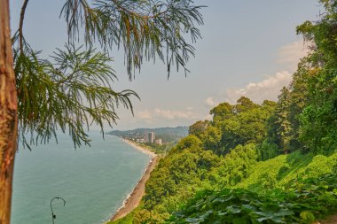 Batumi 'deki botanik bahçesinden deniz manzarası. Yüksek kalite fotoğraf