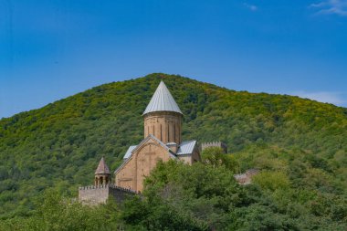 Ananuri kalesi dağların ve gökyüzünün arka planına karşı yeşillik içinde. Yüksek kalite fotoğraf