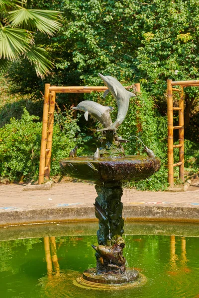 Fountain Dolphins Botanical Garden Batumi High Quality Photo — 스톡 사진
